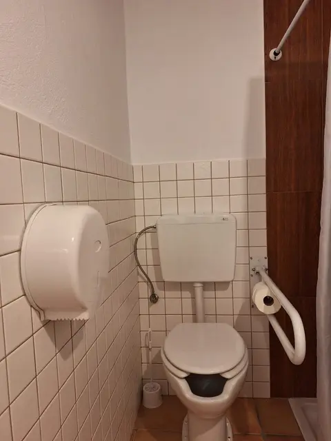 Baño adaptado con barras de apoyo