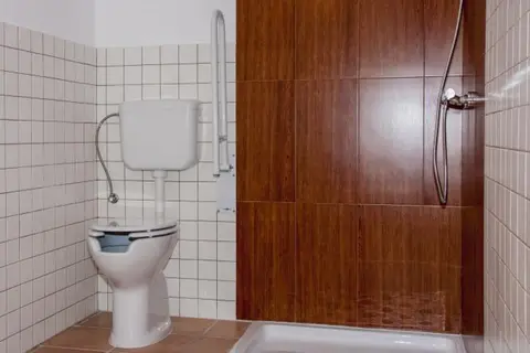 Baño adaptado con ducha a ras de suelo