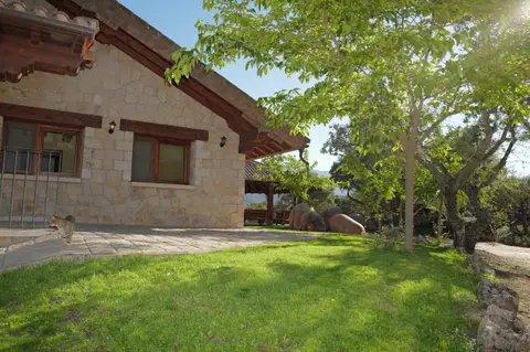 Lateral de la casa con césped y árboles