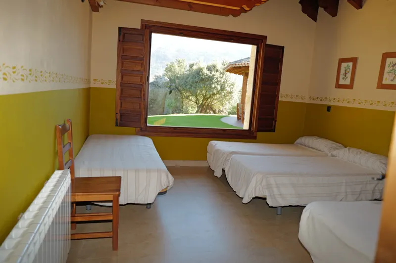 Habitación luminosa con ventana al jardín